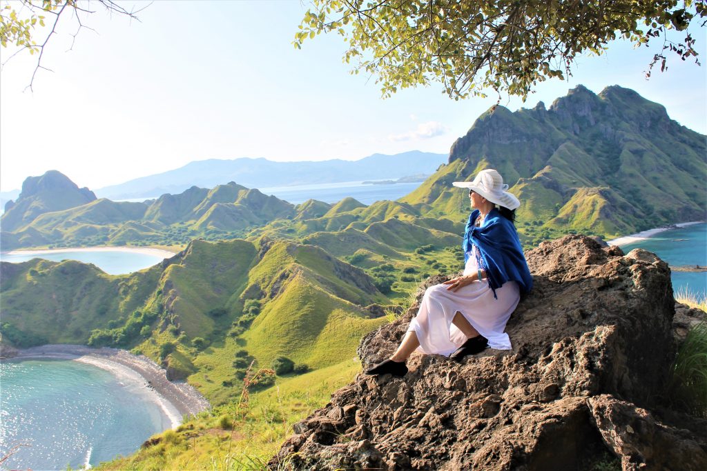 Komodo one click contact us